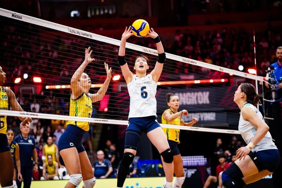 佐藤淑乃砍, 也带动整支, 国际排联的