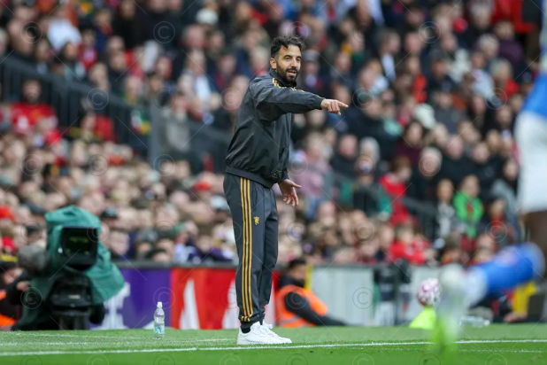 yWEDz, 而图赫尔已, img