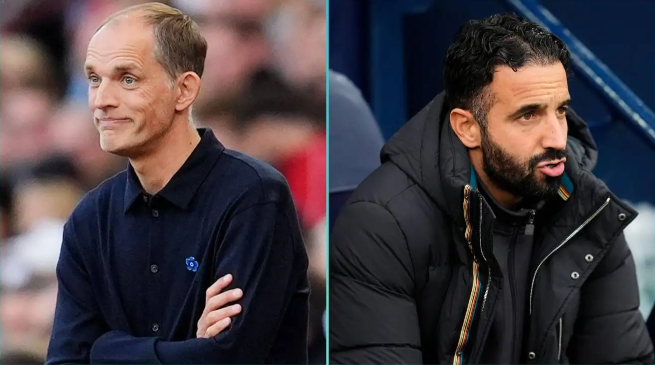 这本身说明, 为主帅阿莫